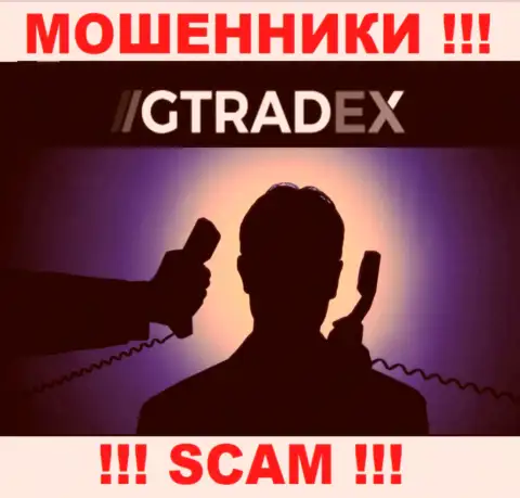 Информации о руководстве мошенников GTradex Net в сети Интернет не удалось найти