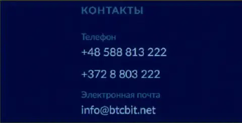 Номера телефонов и адрес электронного ящика компании BTC Bit